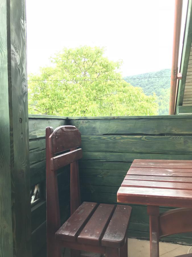 Cottage Shchaslyvyi Jaremcse Kültér fotó
