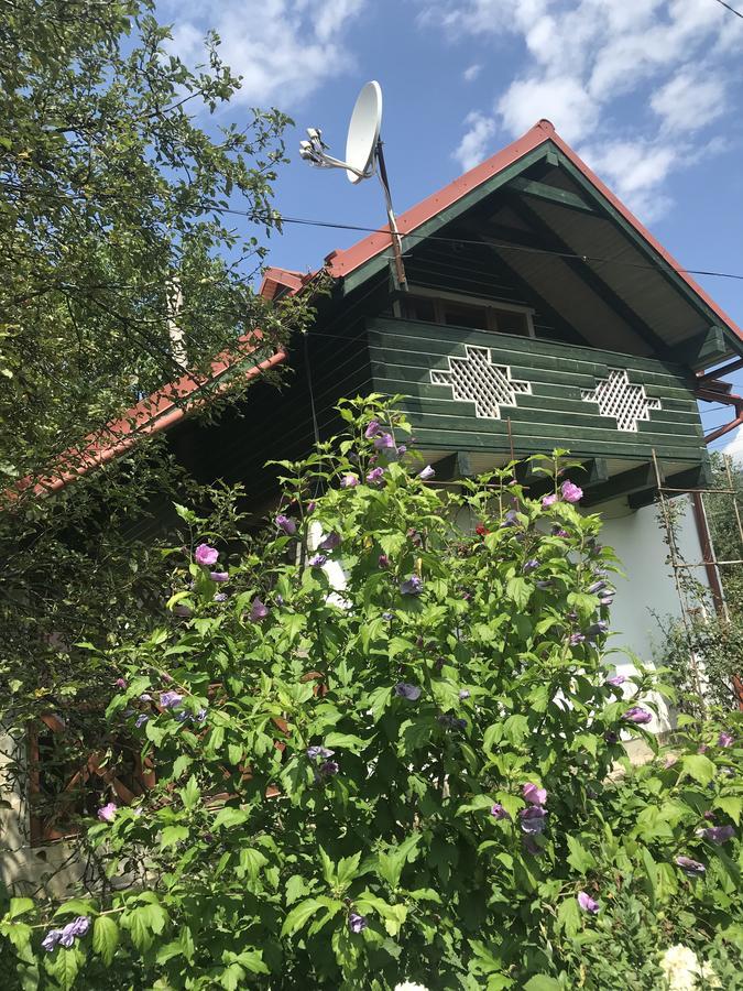 Cottage Shchaslyvyi Jaremcse Kültér fotó